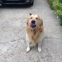 ���� Kosti Aleks, ��������� - ��������� 1 ���� 2016 � ������ ���� ����������