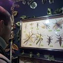 ���� �������, ���������, 40 ��� - ��������� 19 ������� 2016 � ������ ���� ���� �����