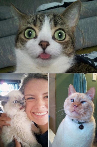 Со мной всё нормально, просто я не фотогеничный. - 5