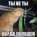 ���� �����, �������, 43 ���� - ��������� 3 �������� 2016 � ������ ���� ����������