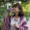 ���� ������, �����������, 53 ���� - ��������� 11 ���� 2016