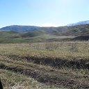 ���� ����, ������ - ��������� 18 ������ 2016 � ������ �������� ������ �����