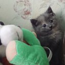 ���� ������, ������ - ��������� 1 ���� 2016 � ������ ���� �����