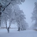 ���� ����������, ����, 75 ��� - ��������� 28 ���� 2016 � ������ ������������ �������������