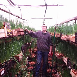 vladimir, 46 ���, ��������