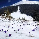 ���� Karl, ����, 52 ���� - ��������� 27 ������ 2016