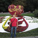 ���� �����, ���� - ��������� 23 ������� 2016 � ������ ���� ����������