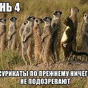 ���� ����������, ���������, 44 ���� - ��������� 26 ����� 2016 � ������ ������ ��������
