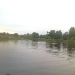 ���� ������, �����������, 69 ��� - ��������� 8 ��� 2016