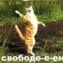���� ��������, ������ - ��������� 7 ���� 2016 � ������ ������ ��������