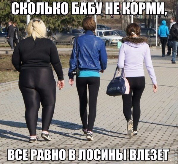    |   - 26  2016  15:03