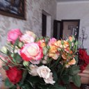 ���� Nina, ��������� - ��������� 31 ��� 2016 � ������ ���� ������ �����