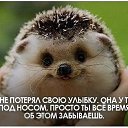 ���� �������, ��������� - ��������� 14 ����� 2016 � ������ ������ ��������
