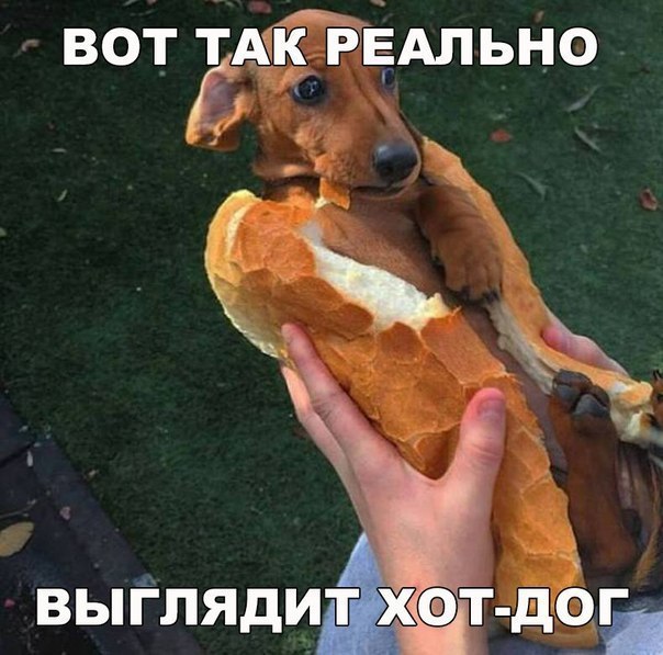 �� ���������� ���� ר! - 21 ���� 2016 � 22:28