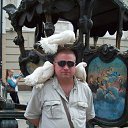  , , 52  -  24  2016    2012.