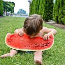 ���� ����, �����, 46 ��� - ��������� 26 ���� 2016 � ������ ���� ����������
