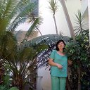 ���� �����, ���������, 54 ���� - ��������� 25 ���� 2016