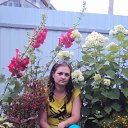 ���� ����, ���������, 39 ��� - ��������� 17 ���� 2016 � ������ ���� ����������