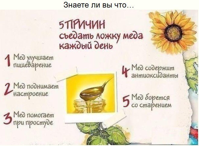 КАКОЙ МЕД И ПРИ КАКИХ ЗАБОЛЕВАНИЯХ ПОМОГАЕТ? Акациевый. Особенно полезен мужчинам, а также при ...