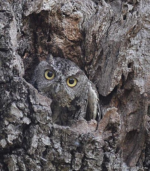 "  ..." - 31  2016  21:22