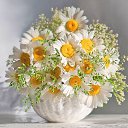 ���� �����, ������ - ��������� 13 ������� 2016 � ������ ���� ����������