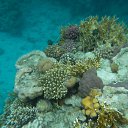 ���� �������, ��������, 47 ��� - ��������� 4 ������ 2016 � ������ ���� ����������