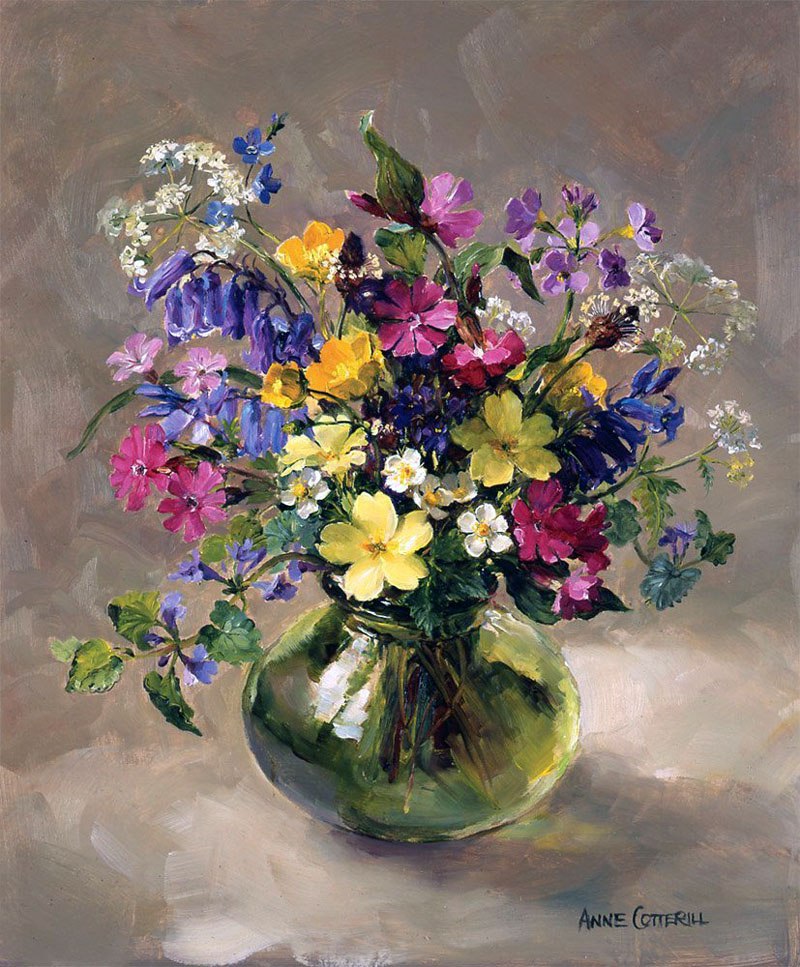 Anne Coterill