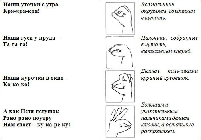 Пальчиковая домашние птицы. Пальчиковая гимнастика уточка младшая группа. Пальчиковая гимнастика про утку. Пальчиковая гимнастика про уточку для детей. Пальчиковую гимнастику для детей тема домашние птицы.