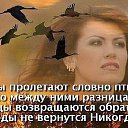 ���� ����, ��������������, 57 ��� - ��������� 1 �������� 2016 � ������ ������ ��������