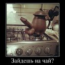 ���� �������, ������� - ��������� 9 ���� 2016 � ������ ���������