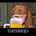 ���� Nazareth210, ������, 61 ��� - ��������� 13 ������� 2016 � ������ ���� ����������