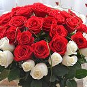 ���� Adam, ������, 58 ��� - ��������� 8 ������� 2016 � ������ ����������