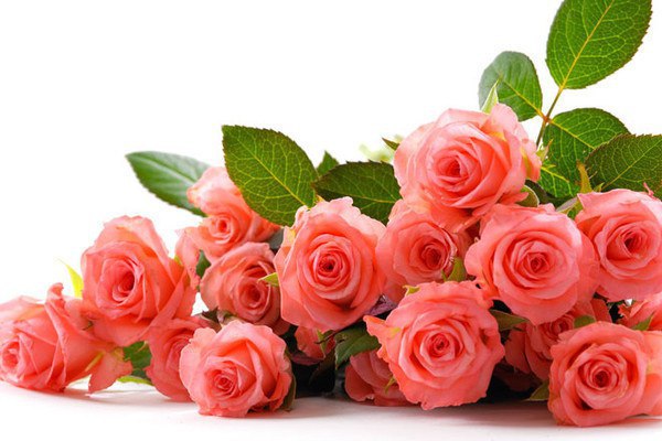 https://i01.fotocdn.net/s208/46d3e5ebf6d03ff0/gallery_xl/2537303706.jpg