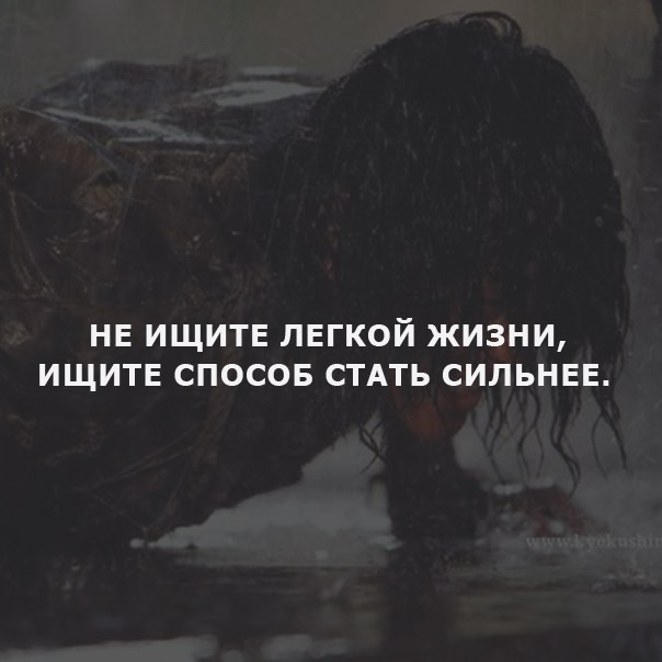  -   - 17  2016  03:00