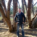 ���� ����, �����, 41 ��� - ��������� 29 ������ 2016 � ������ ���� ����������