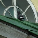 ���� ������� ���������, ������ - ��������� 6 ���� 2016 � ������ �������� 04.06.2016�