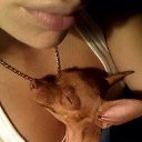 ���� ��������, �������, 35 ��� - ��������� 2 ��� 2016 � ������ ���� ����������