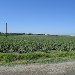 ���� Abdullo, ���������, 49 ��� - ��������� 25 ���� 2016