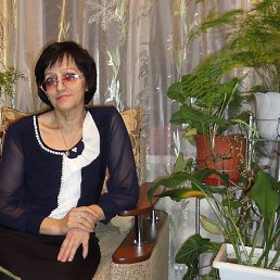 ���� ����, �����, 66 ��� - ��������� 8 ��� 2016