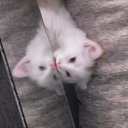 ���� �����, ���� - ��������� 26 ��� 2016 � ������ ���� ����������