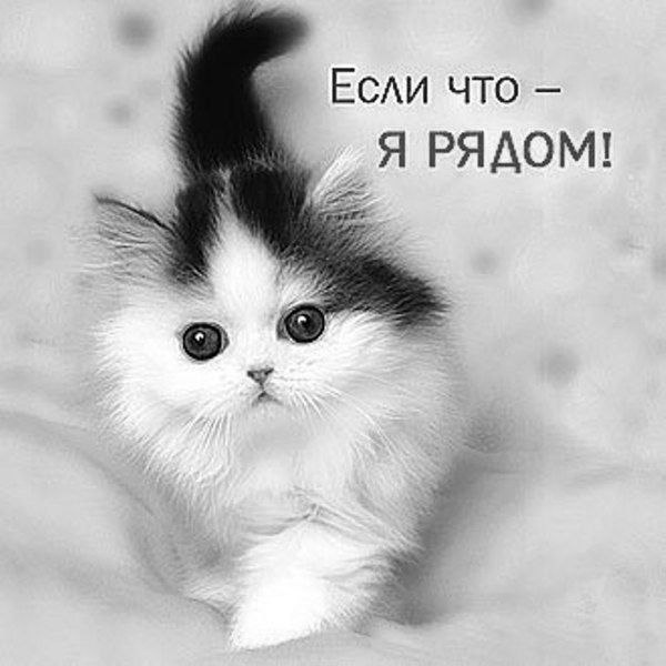 ����� - 2 ��� 2016 � 14:18