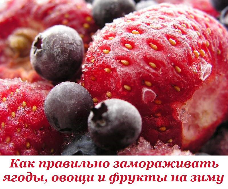 Как правильно замораживать ягоды, овощи и фрукты на зиму.Плюсы заморозки:Длительный срок хранения — ...