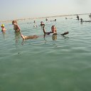 ����� � �������� �� ������� ���� ����������