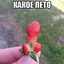 ���� �����., �����-��������, 48 ��� - ��������� 6 ���� 2016 � ������ ���� ����������