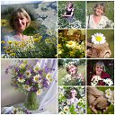 ���� ������, ������ - ��������� 2 ������� 2016 � ������ ���� ����������