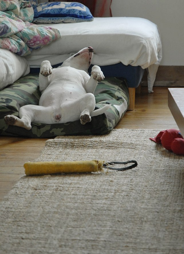 Воскресенье - набираемся сил перед рабочей неделей! Фотограф Андрей Кашпура)