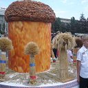 ���� ����, ������� - ��������� 8 �������� 2016 � ������ ���� ����������