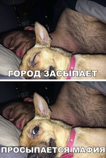    :D - 9  2016  07:38