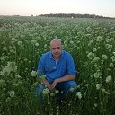 ���� ������, ������, 49 ��� - ��������� 13 ���� 2016