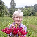 ���� ������, ����, 73 ���� - ��������� 8 ���� 2016 � ������ ���� ����������